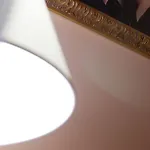Il Gattopardo *